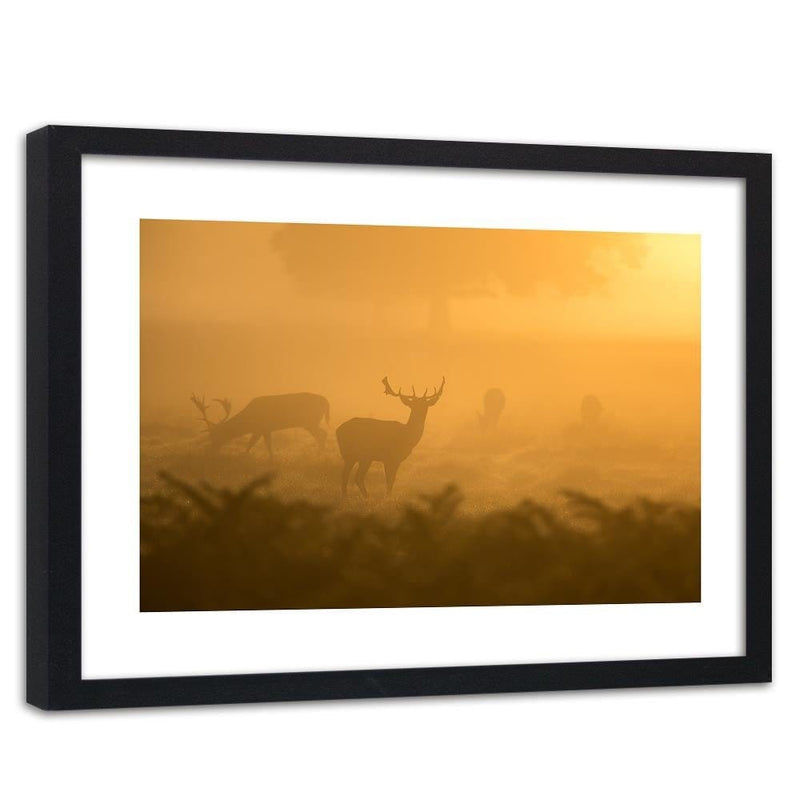 Glezna melnā rāmī - A Herd Of Deer At Dawn  Home Trends