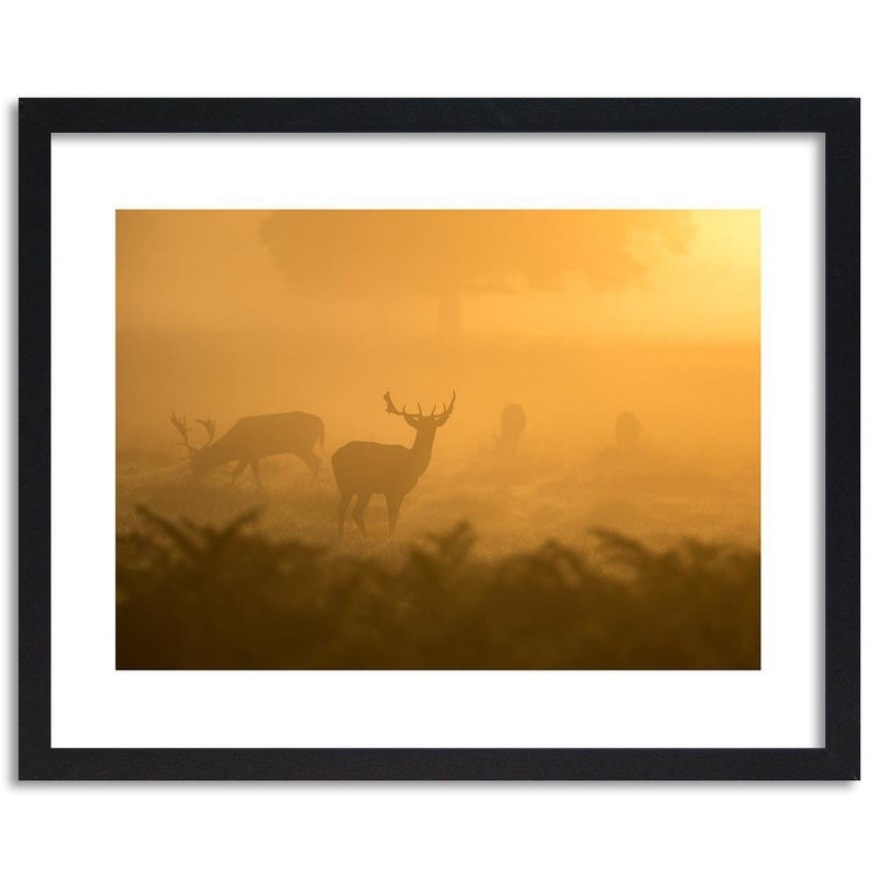 Glezna melnā rāmī - A Herd Of Deer At Dawn  Home Trends