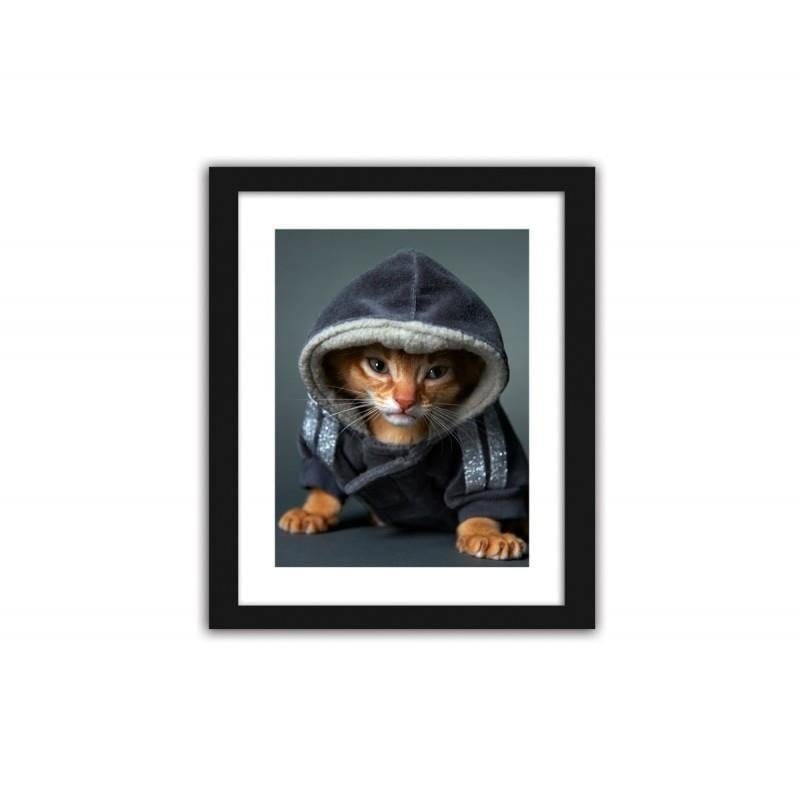 Glezna melnā rāmī - A kitten in a hooded cat  Home Trends