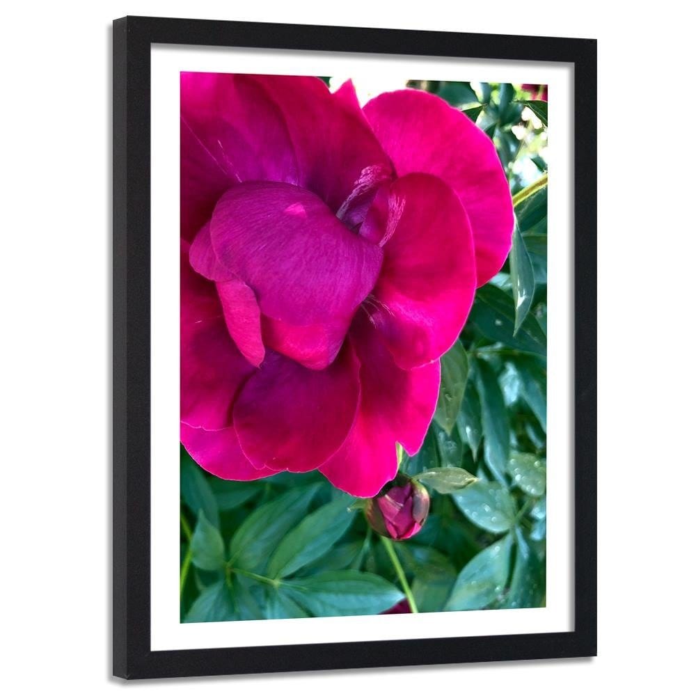 Glezna melnā rāmī - A Large Pink Flower  Home Trends