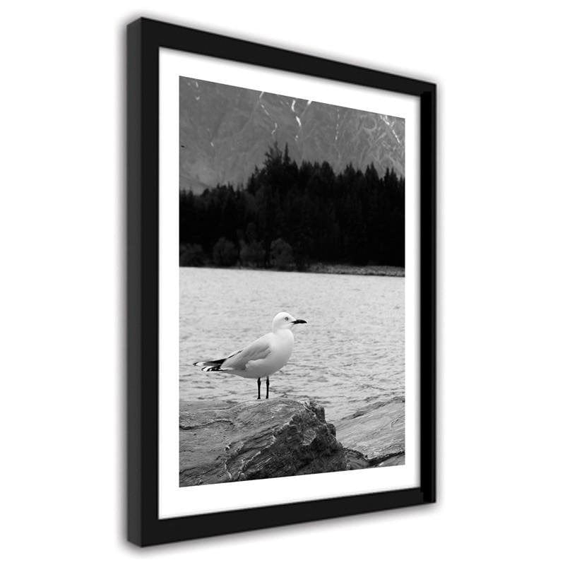 Glezna melnā rāmī - A seagull on a rock  Home Trends
