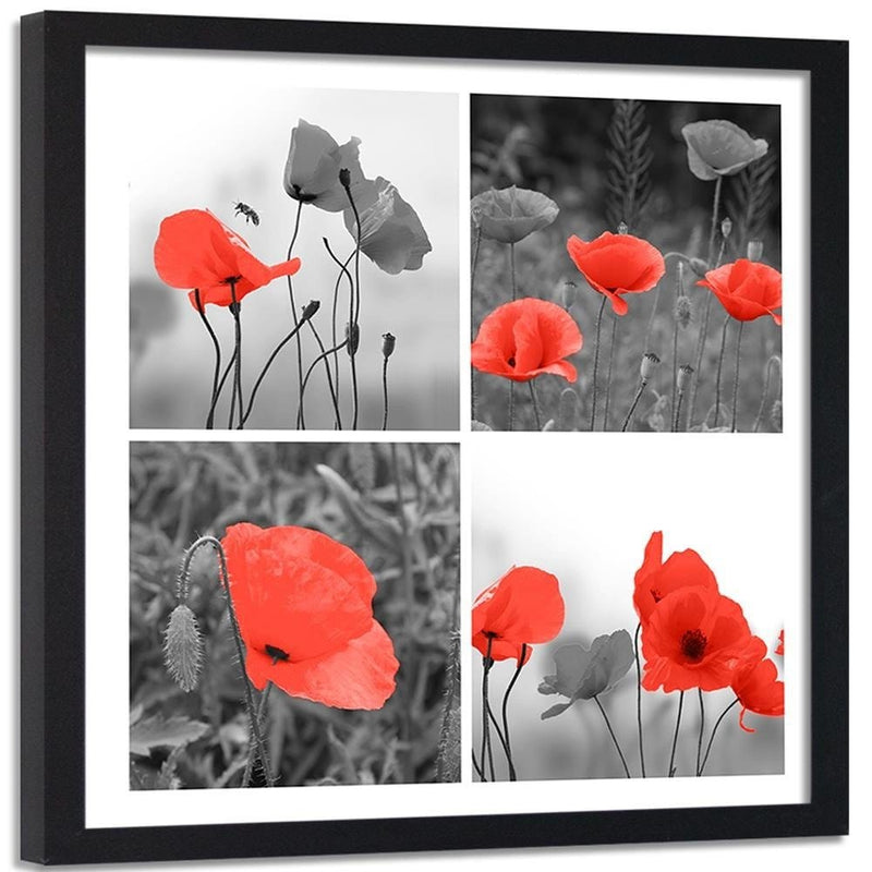 Glezna melnā rāmī - A Set Of Red Poppies  Home Trends