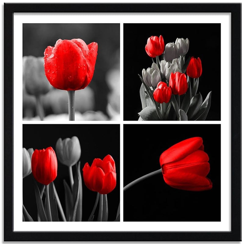 Glezna melnā rāmī - A Set Of Red Tulips  Home Trends