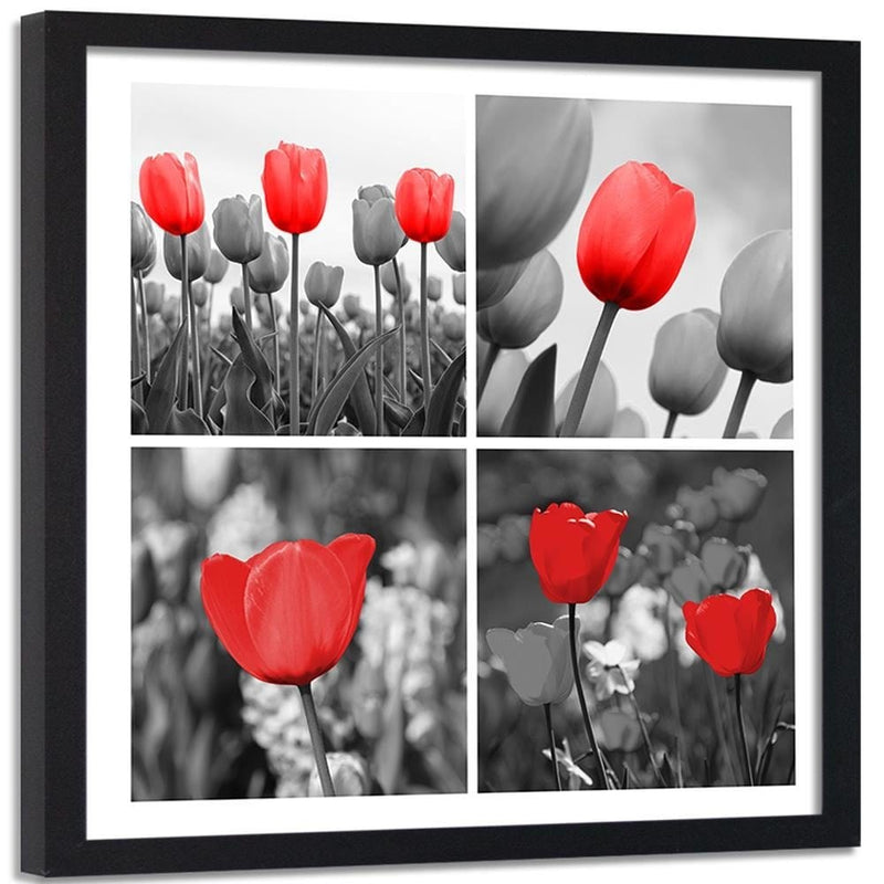 Glezna melnā rāmī - A Set Of Red Tulips In Gray  Home Trends