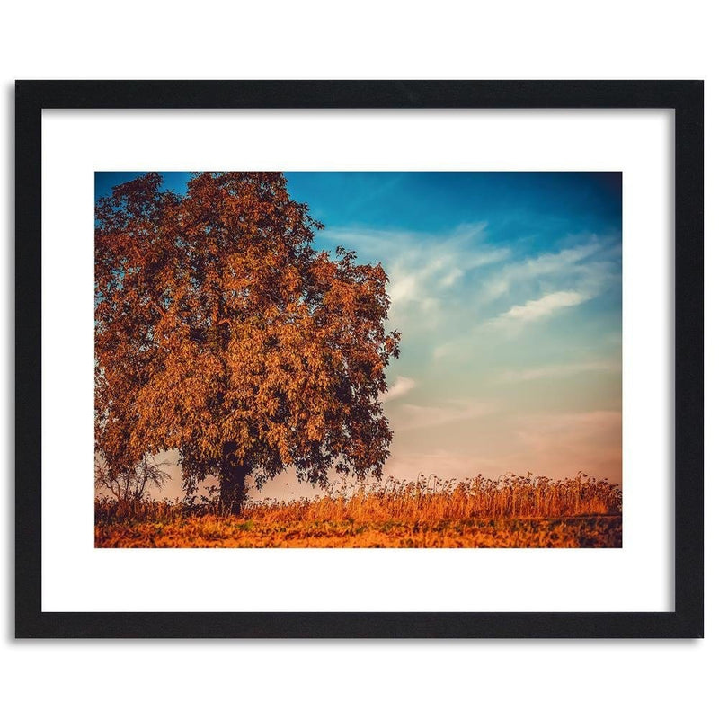 Glezna melnā rāmī - A Tree In Autumn  Home Trends
