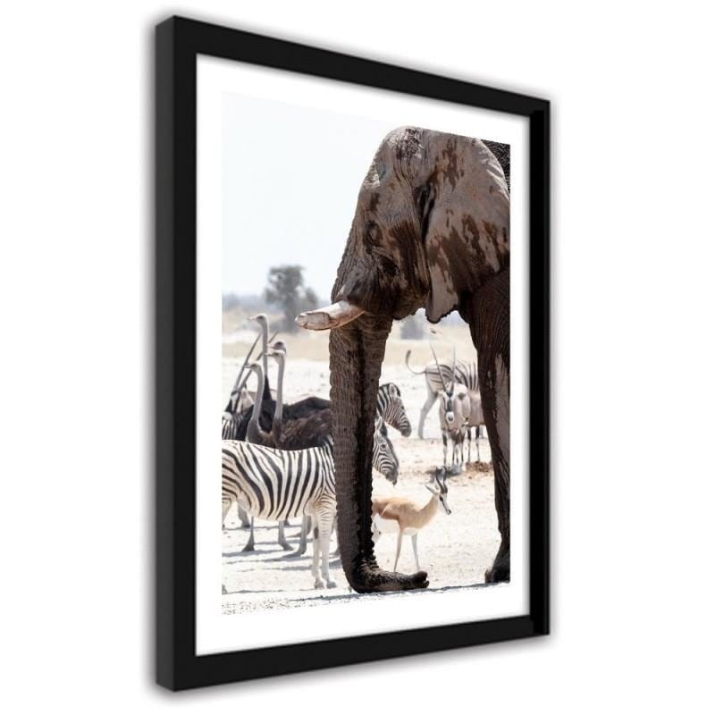 Glezna melnā rāmī - African elephant  Home Trends