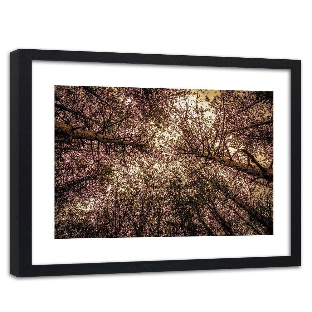 Glezna melnā rāmī - Among The Trees  Home Trends