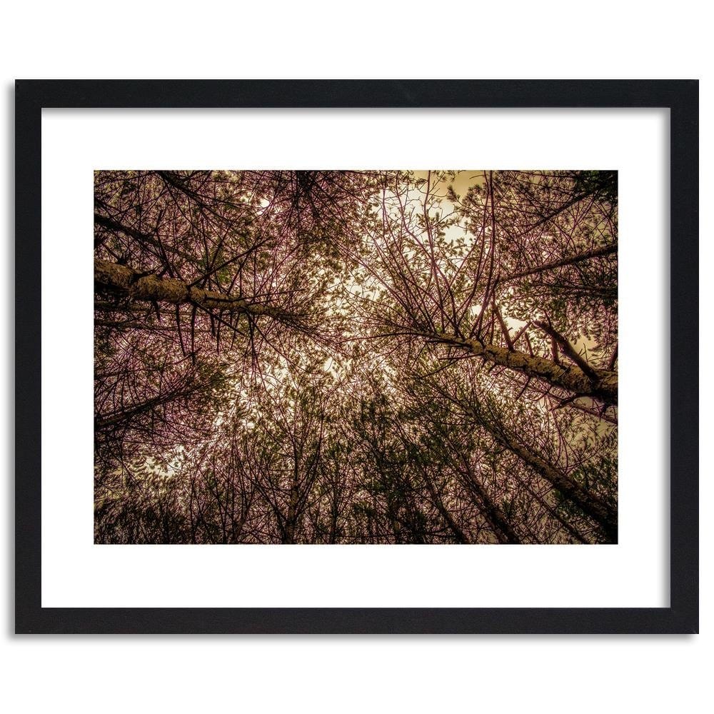 Glezna melnā rāmī - Among The Trees  Home Trends