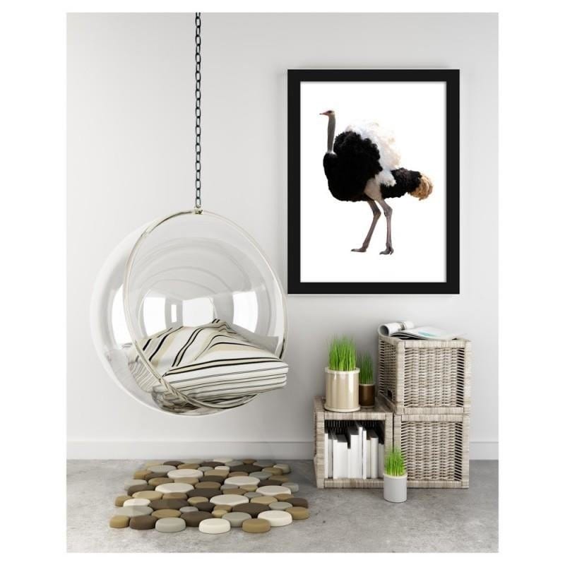 Glezna melnā rāmī - An ostrich with beautiful feathers  Home Trends