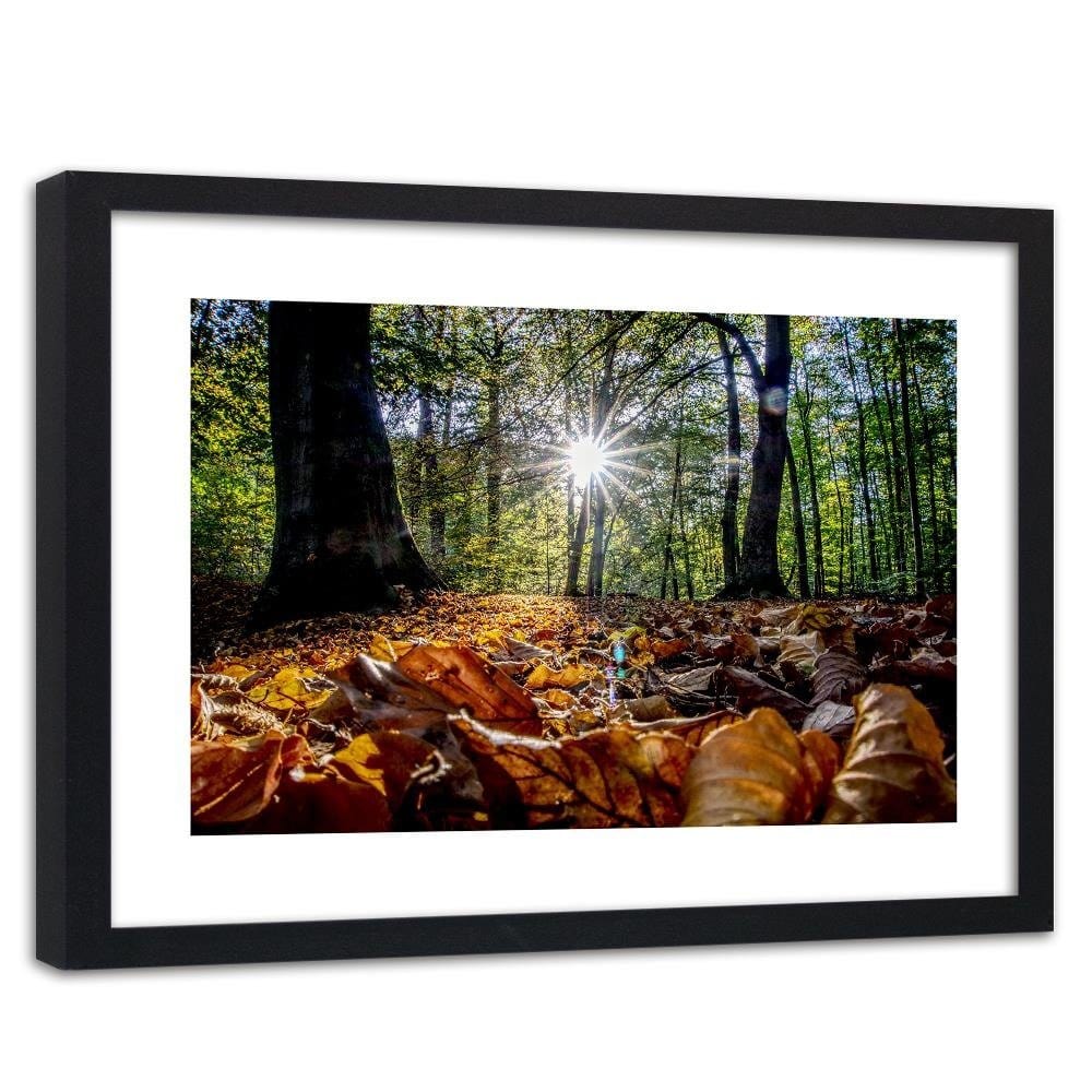 Glezna melnā rāmī - Autumn Leaves In The Sun  Home Trends