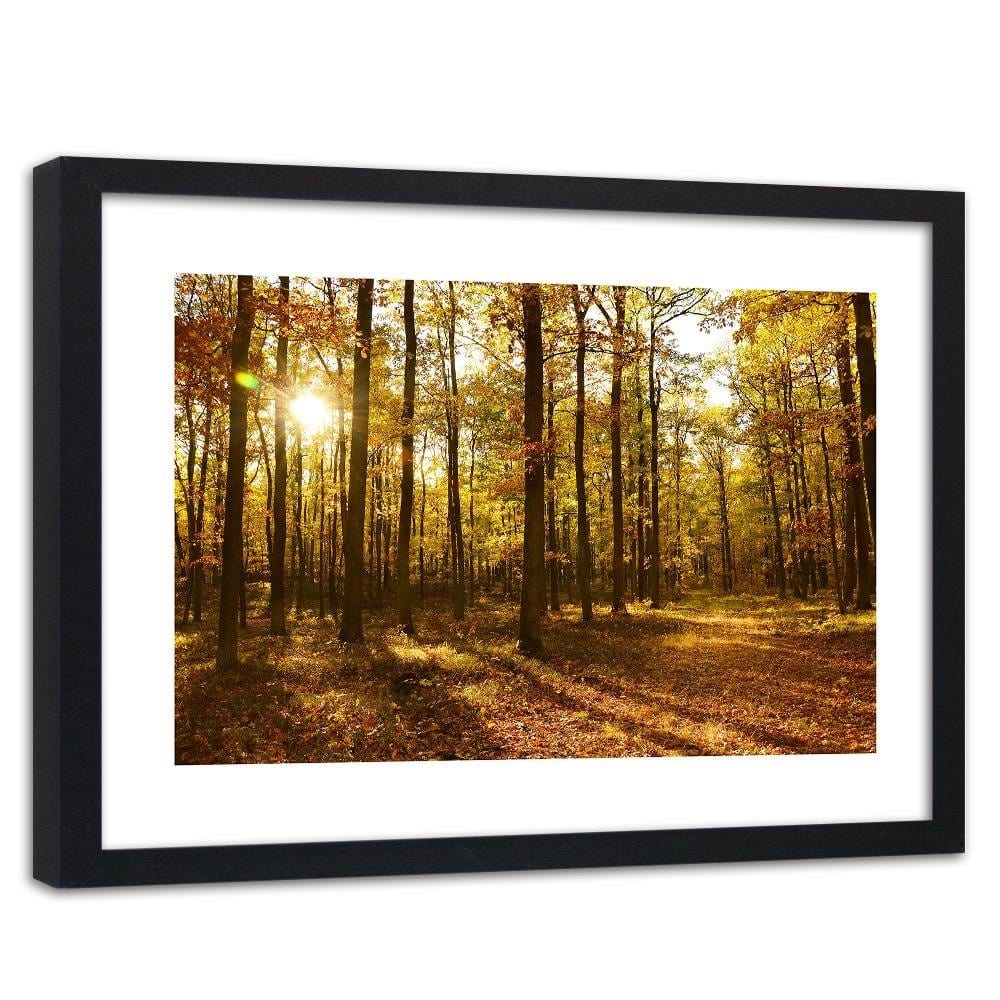 Glezna melnā rāmī - Autumn Sun Rays In The Forest  Home Trends