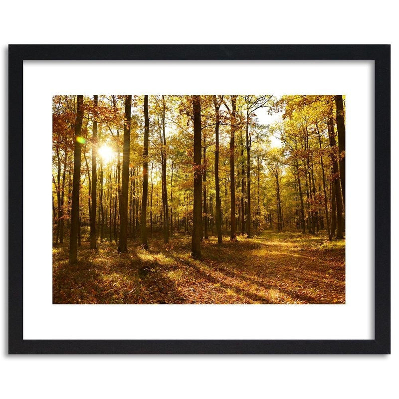 Glezna melnā rāmī - Autumn Sun Rays In The Forest  Home Trends