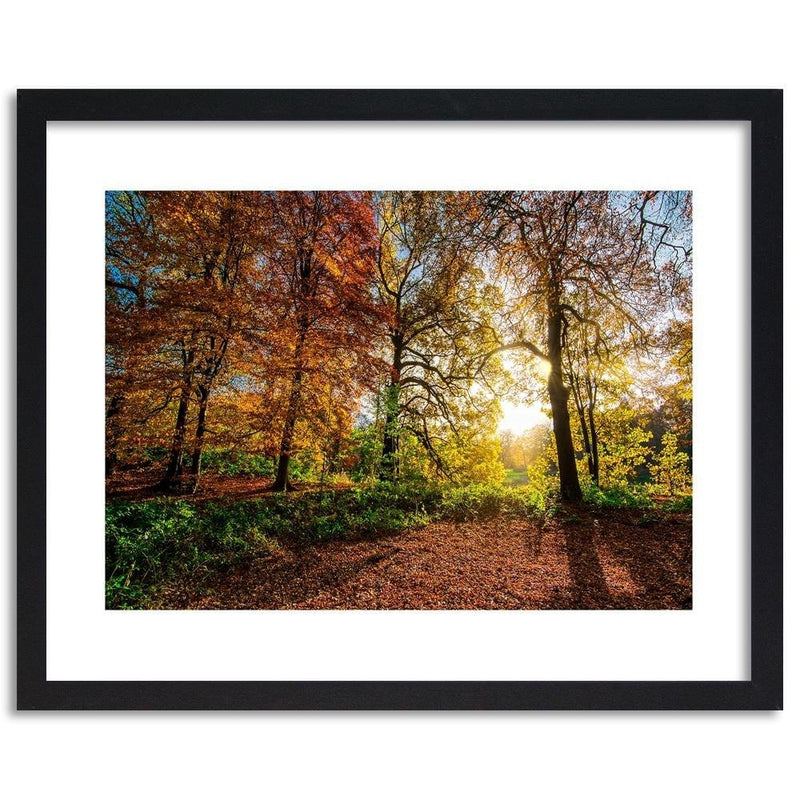 Glezna melnā rāmī - Beautiful Autumn Forest  Home Trends