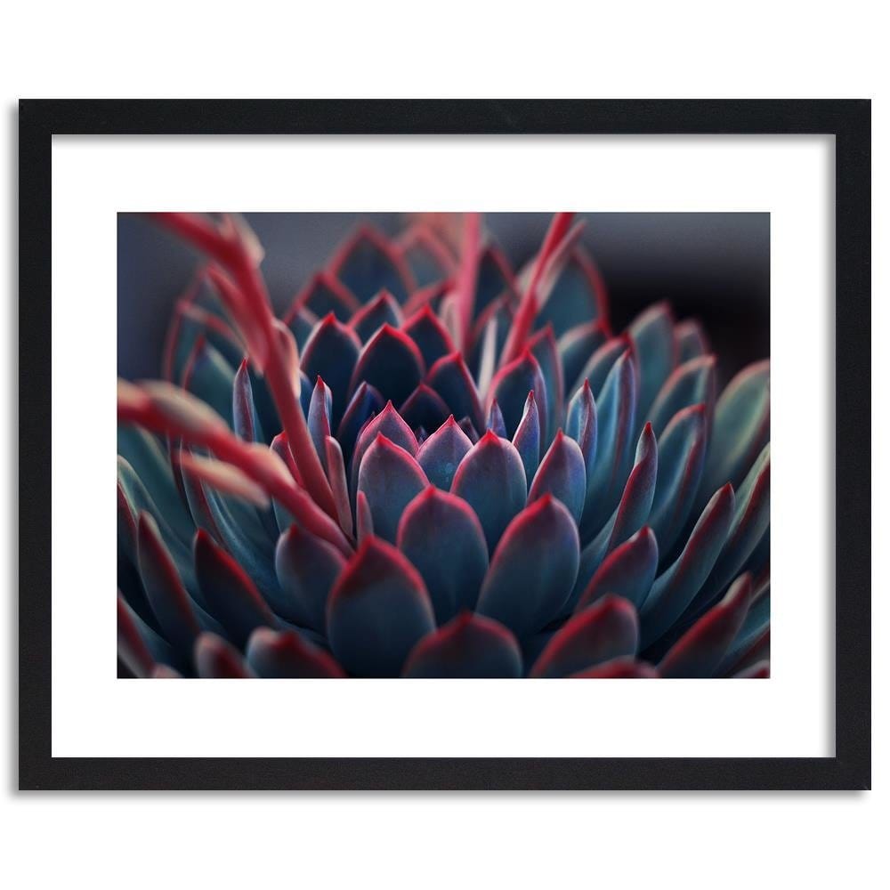 Glezna melnā rāmī - Beautiful Plant  Home Trends