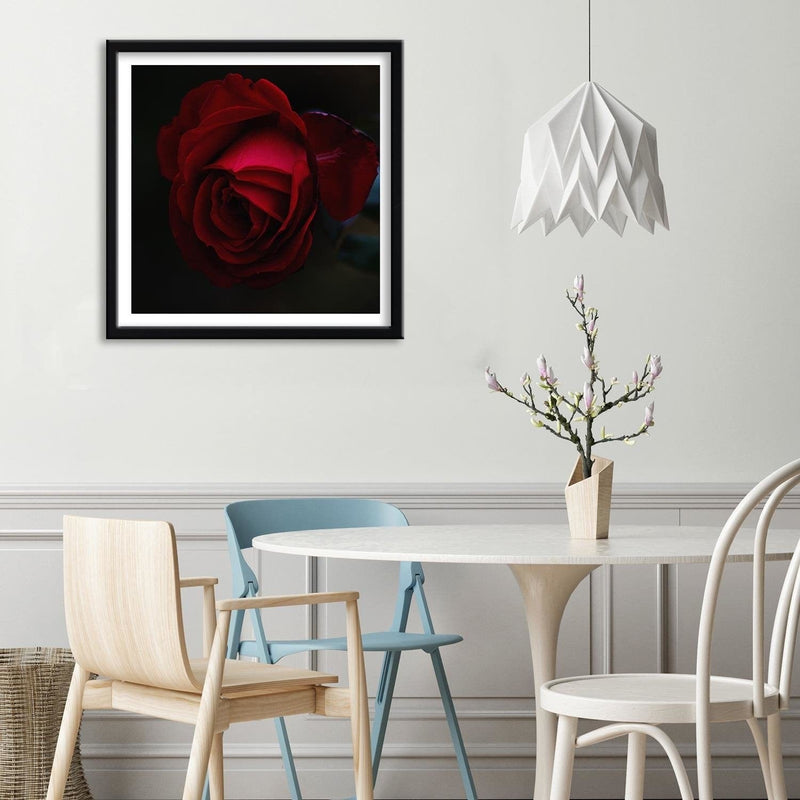 Glezna melnā rāmī - Beautiful Red Rose  Home Trends