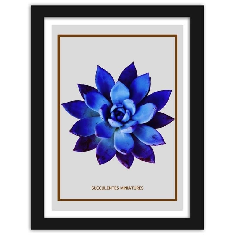 Glezna melnā rāmī - Blue cactus 3  Home Trends
