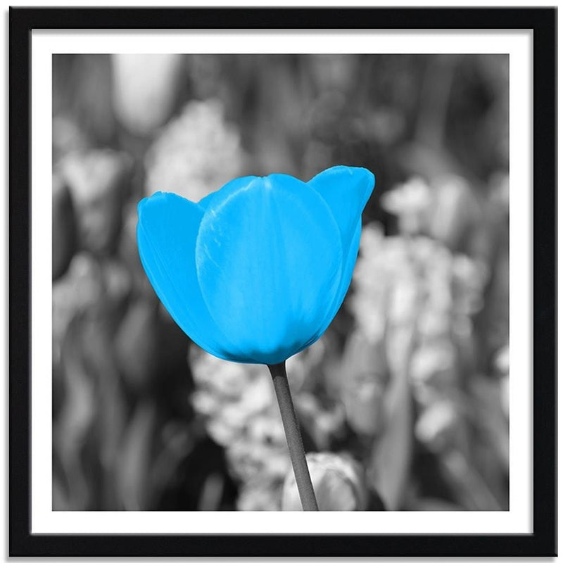 Glezna melnā rāmī - Blue Tulip  Home Trends