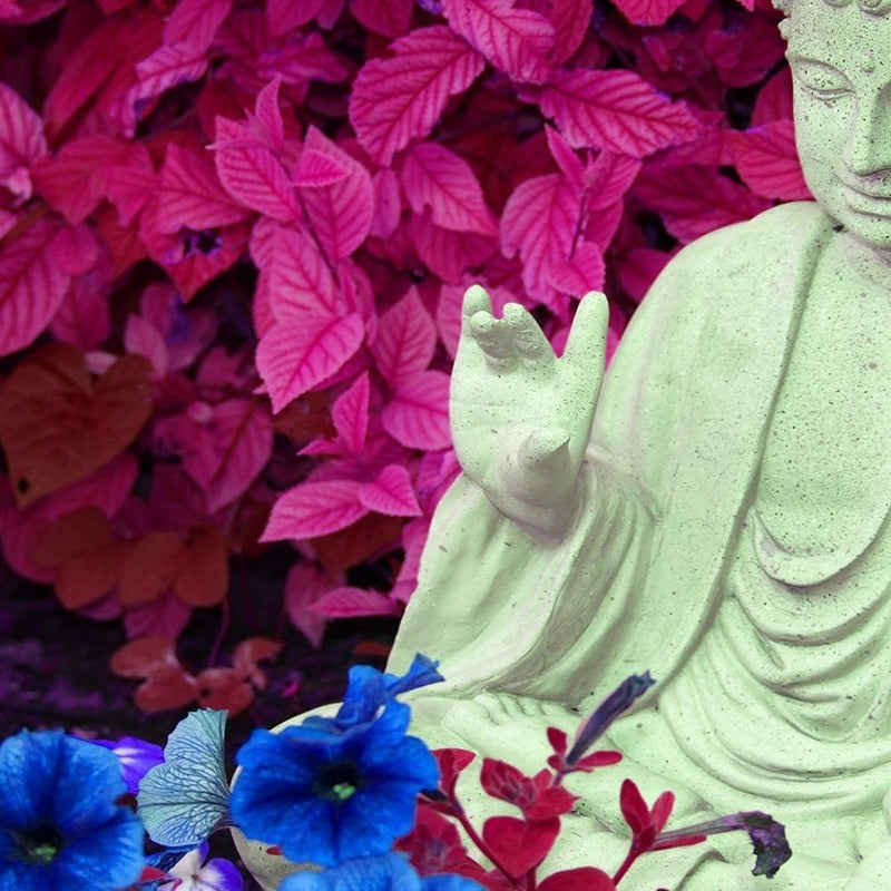 Glezna melnā rāmī - Buddha In The Garden  Home Trends