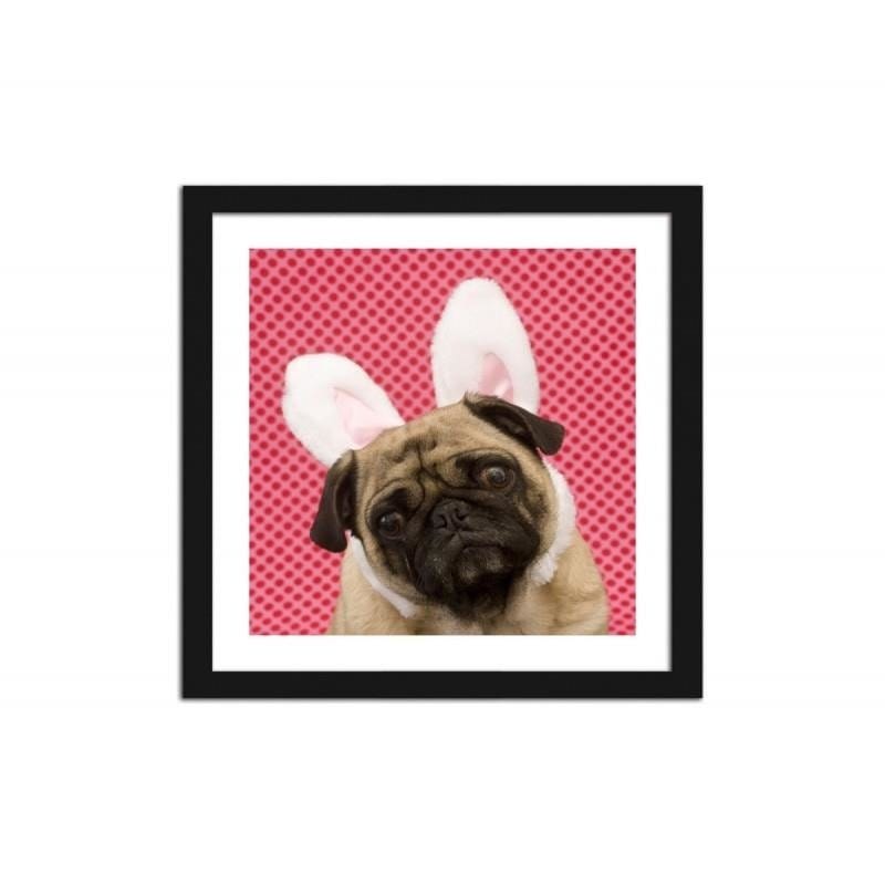 Glezna melnā rāmī - Bunny dog little photo - hidden  Home Trends
