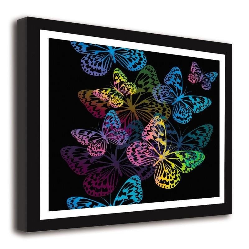 Glezna melnā rāmī - Butterflies  Home Trends