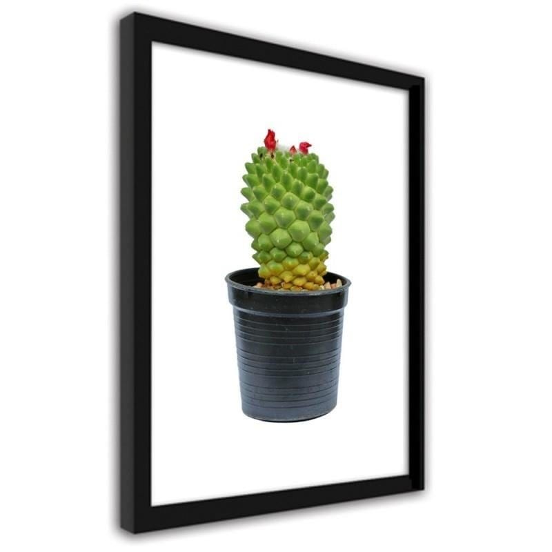 Glezna melnā rāmī - Cactus on white background  Home Trends