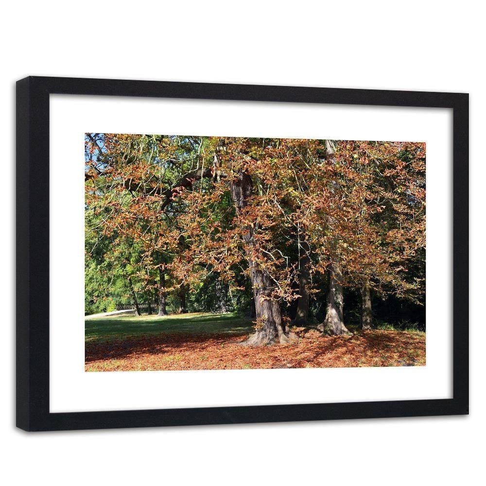 Glezna melnā rāmī - Chestnut Trees In Autumn  Home Trends
