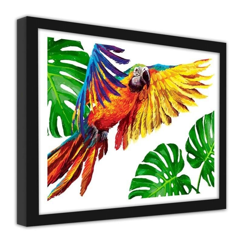 Glezna melnā rāmī - Colorful parrots  Home Trends