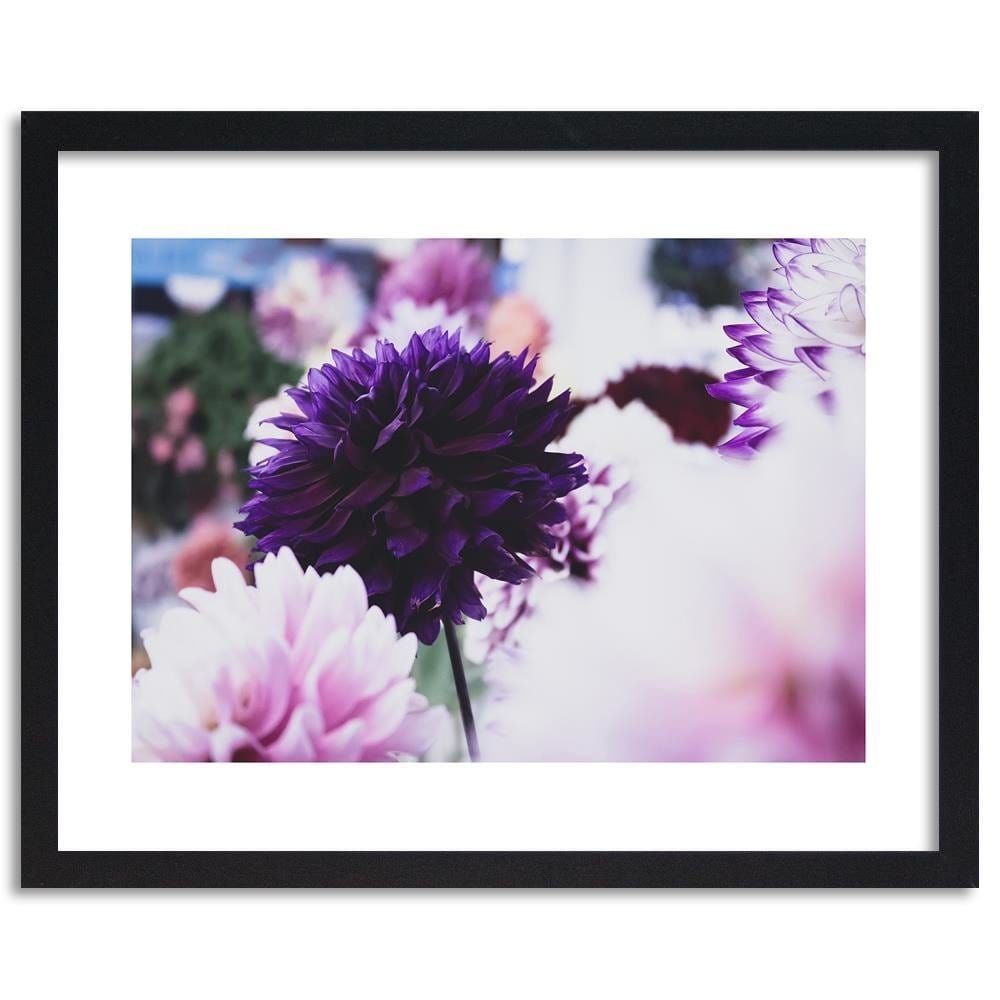 Glezna melnā rāmī - Dahlias  Home Trends