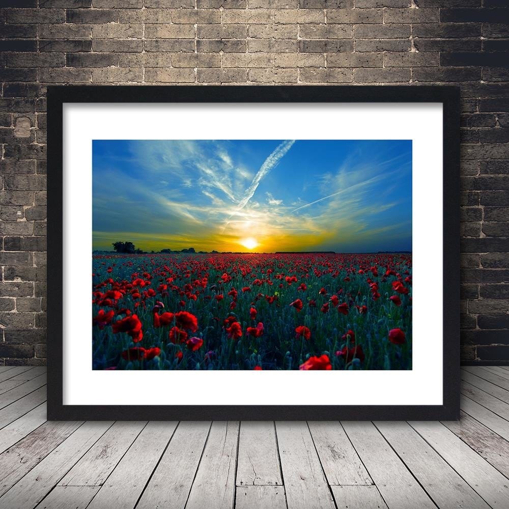 Glezna melnā rāmī - Field Of Red Poppies  Home Trends