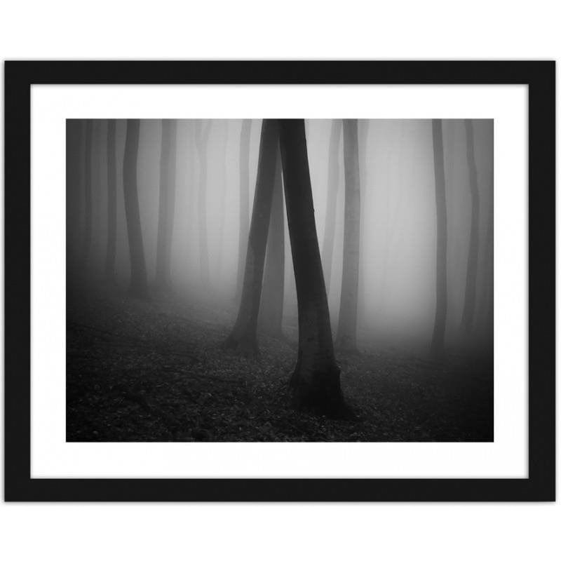 Glezna melnā rāmī - Forest in fog 2  Home Trends