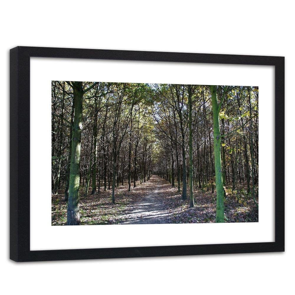 Glezna melnā rāmī - Forest Road  Home Trends