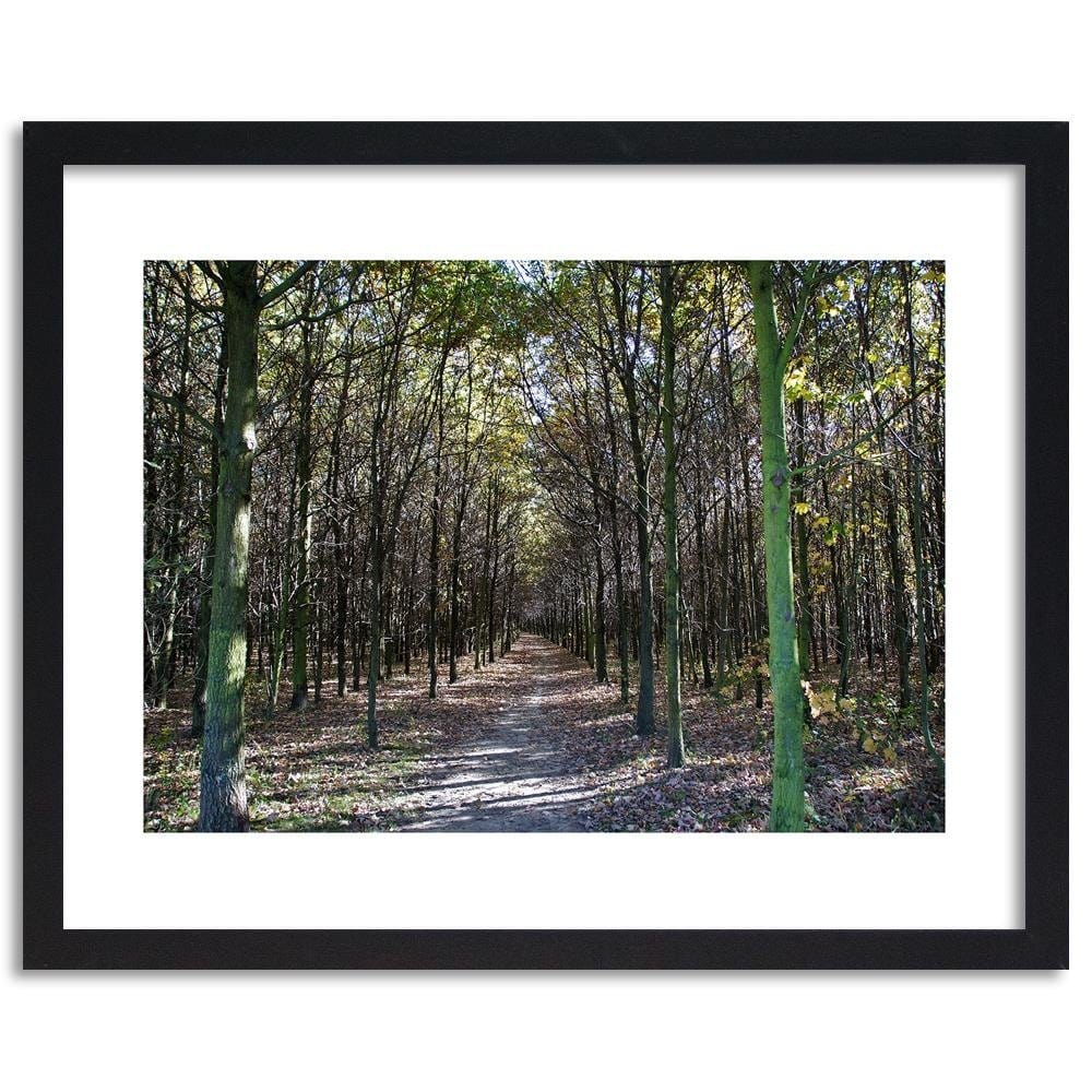 Glezna melnā rāmī - Forest Road  Home Trends