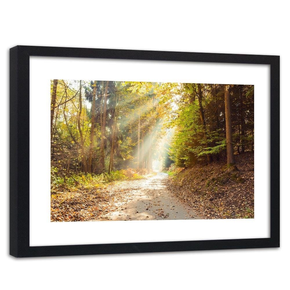 Glezna melnā rāmī - Forest Road In Autumn  Home Trends