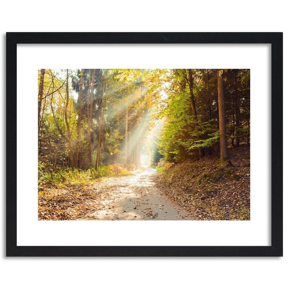 Glezna melnā rāmī - Forest Road In Autumn  Home Trends