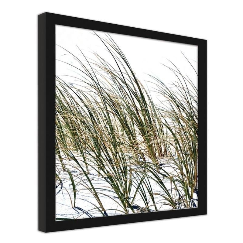Glezna melnā rāmī - Grass on the beach  Home Trends