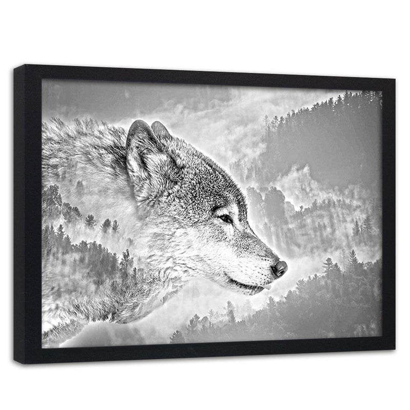 Glezna melnā rāmī - Gray Wolf  Home Trends