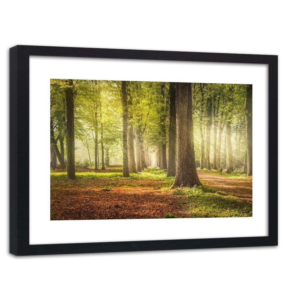 Glezna melnā rāmī - Green Forest  Home Trends