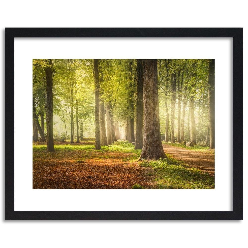 Glezna melnā rāmī - Green Forest  Home Trends