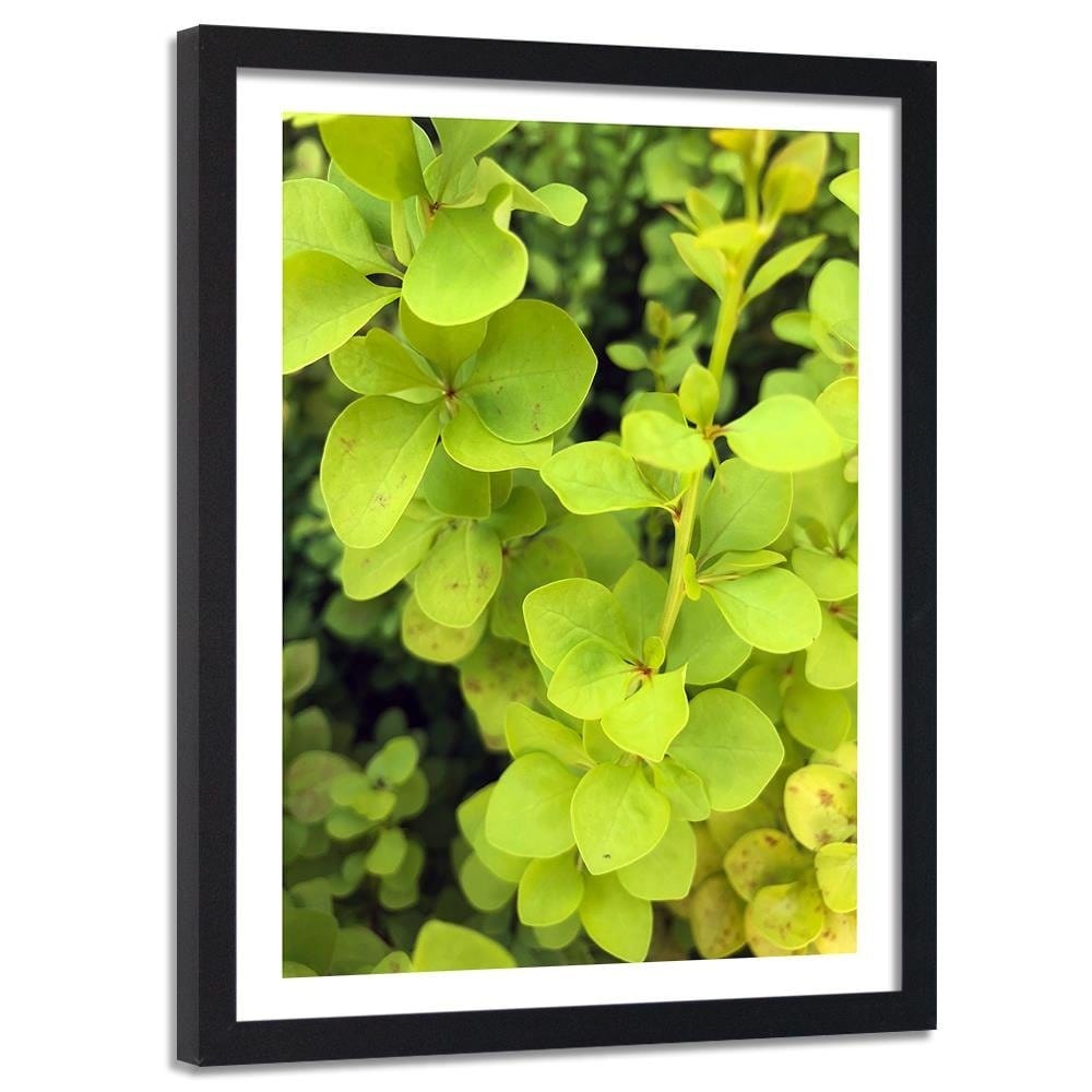 Glezna melnā rāmī - Green Plant  Home Trends