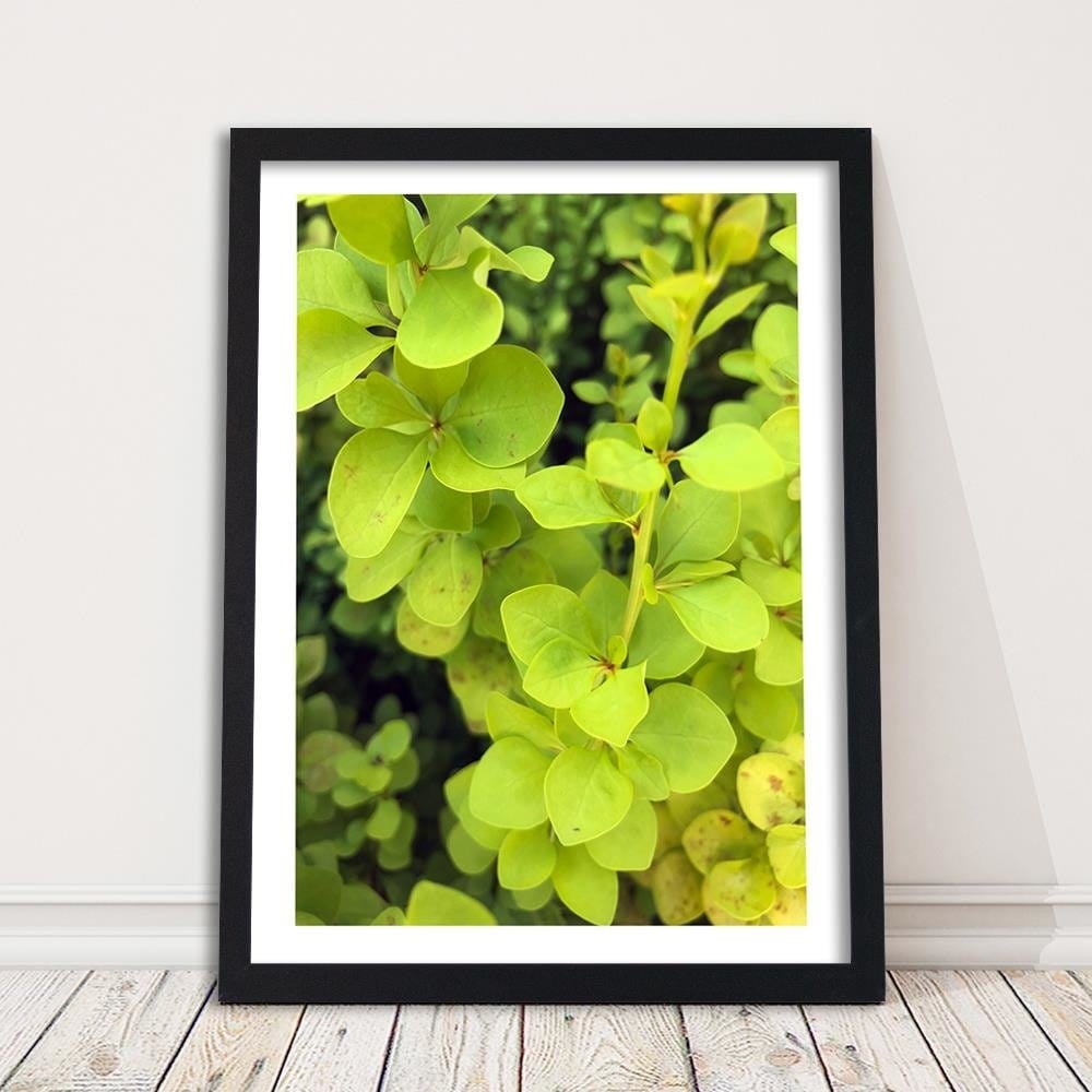 Glezna melnā rāmī - Green Plant  Home Trends