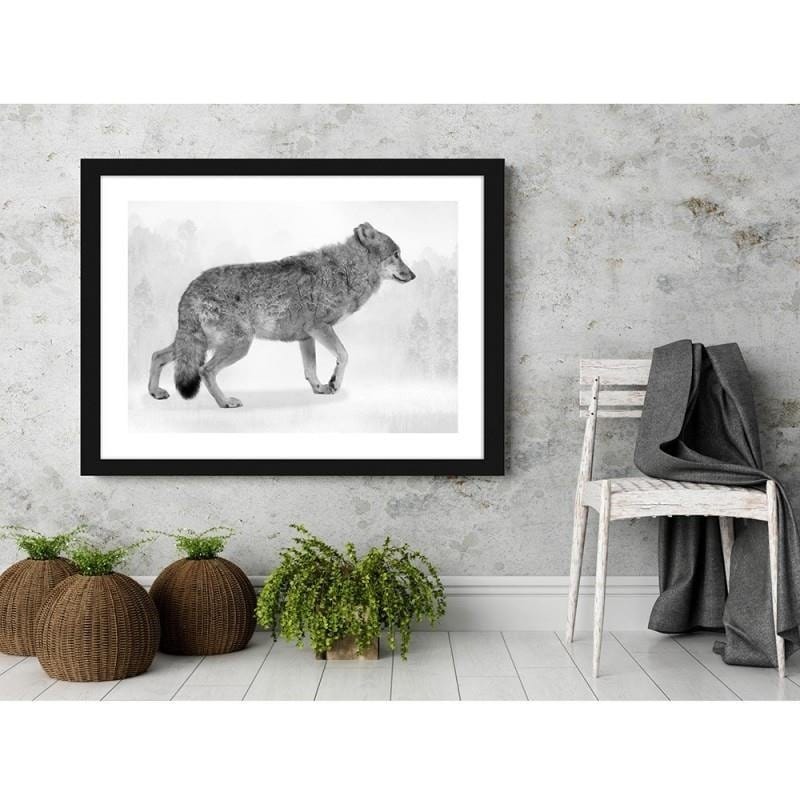 Glezna melnā rāmī - Grey wolf 2  Home Trends