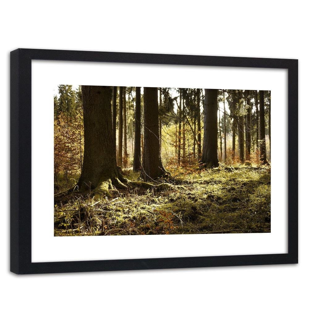 Glezna melnā rāmī - In The Forest  Home Trends