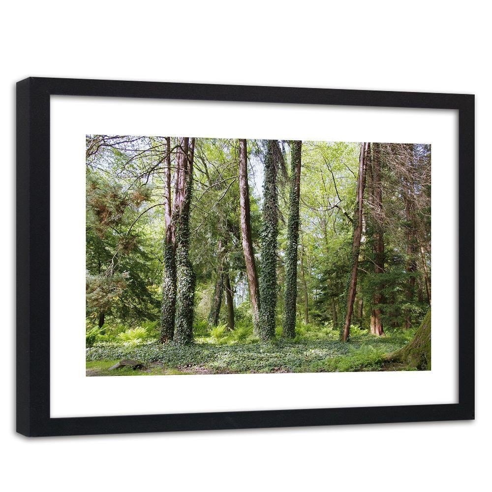 Glezna melnā rāmī - Ivy On The Trees  Home Trends