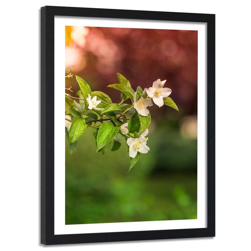 Glezna melnā rāmī - Jasmine Flowers  Home Trends