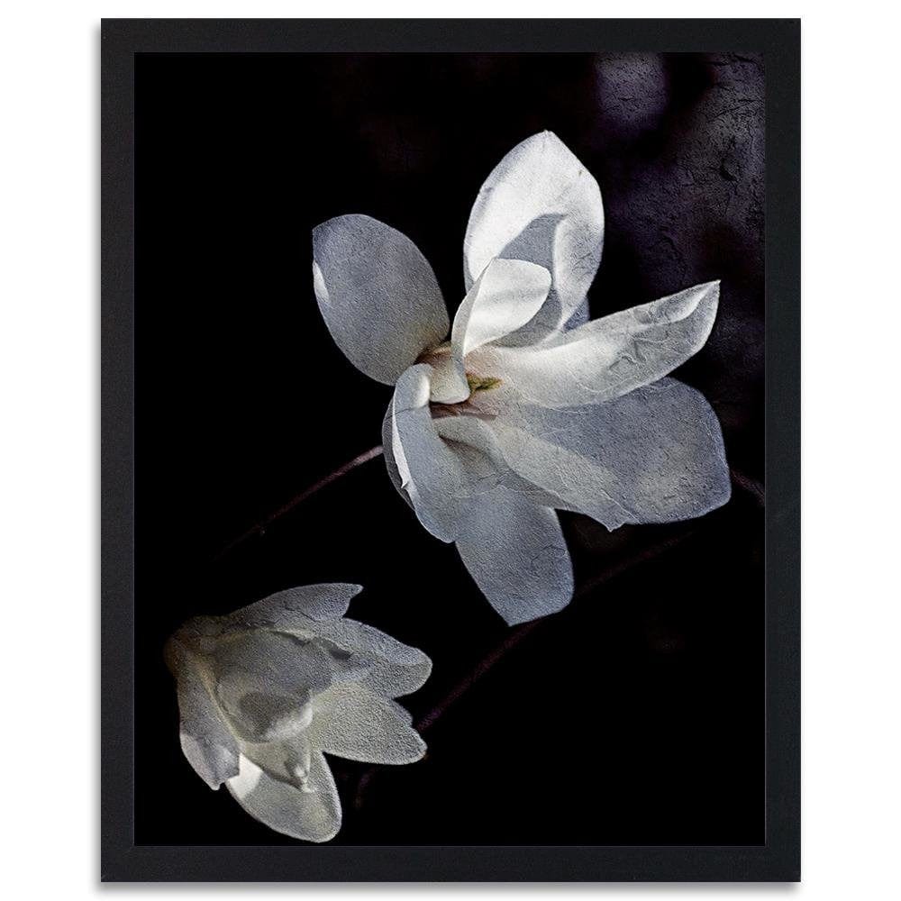 Glezna melnā rāmī - Jasmine Petals  Home Trends