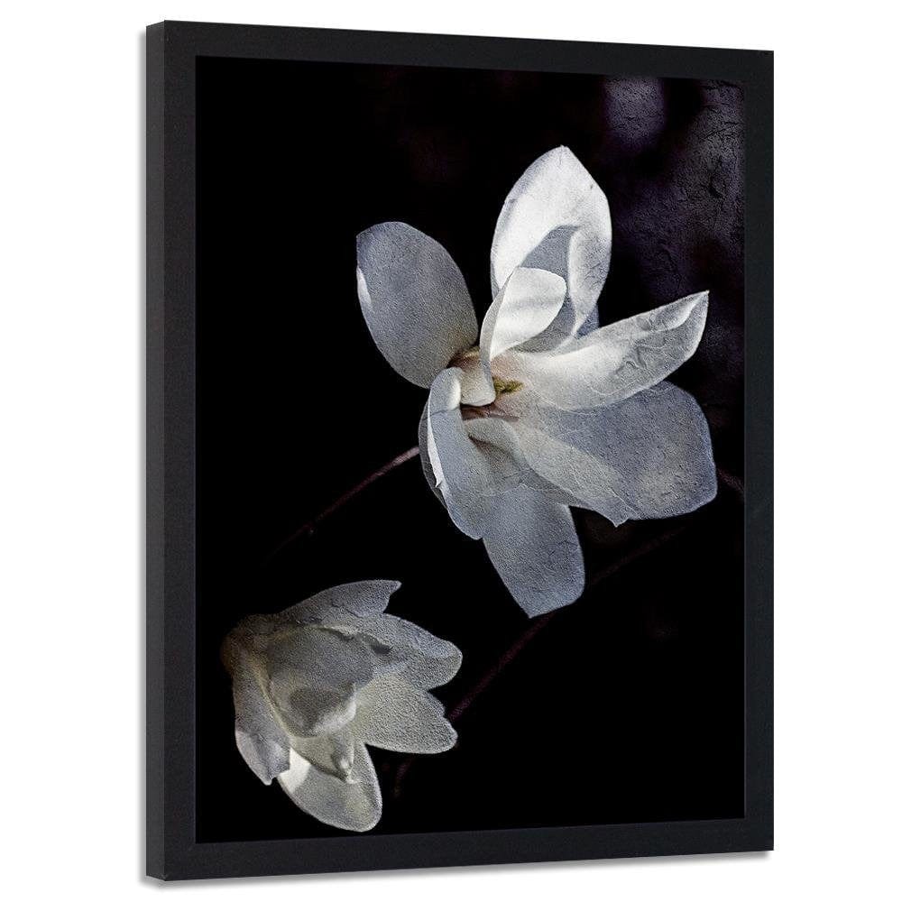 Glezna melnā rāmī - Jasmine Petals  Home Trends