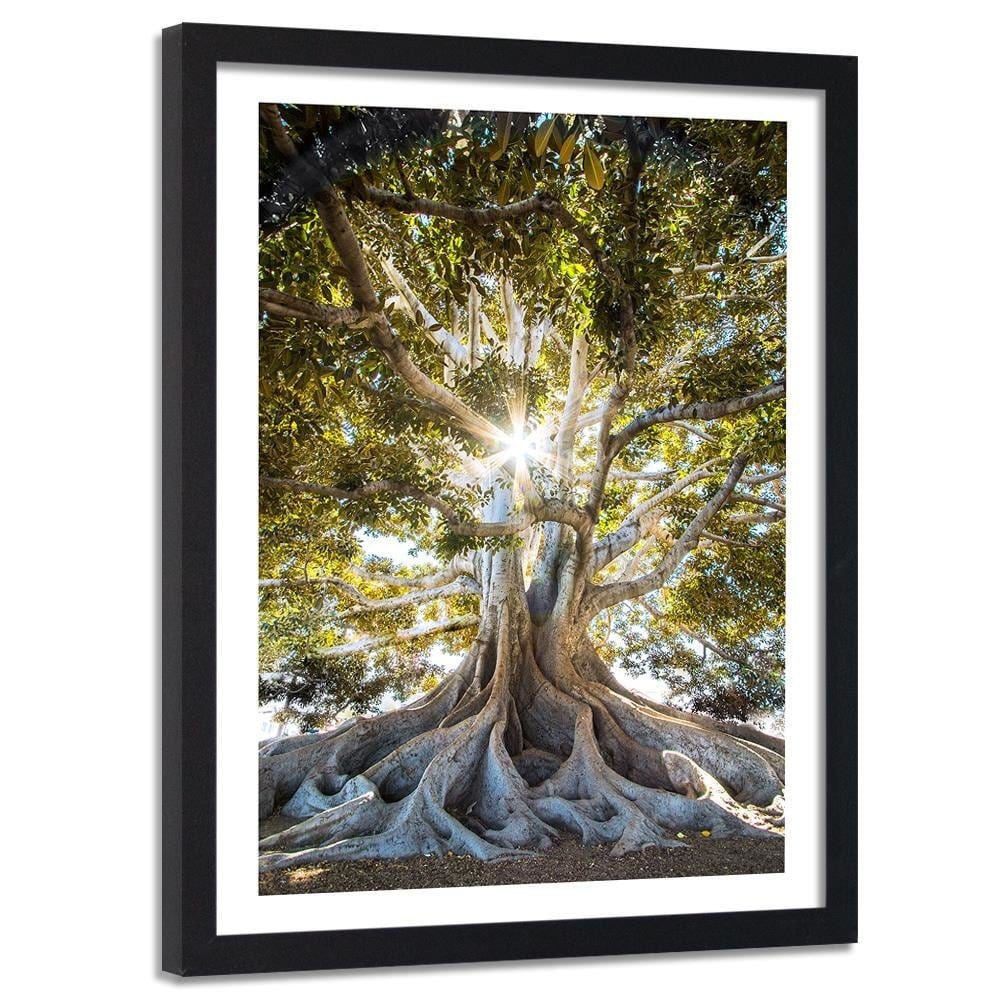 Glezna melnā rāmī - Large Exotic Tree  Home Trends