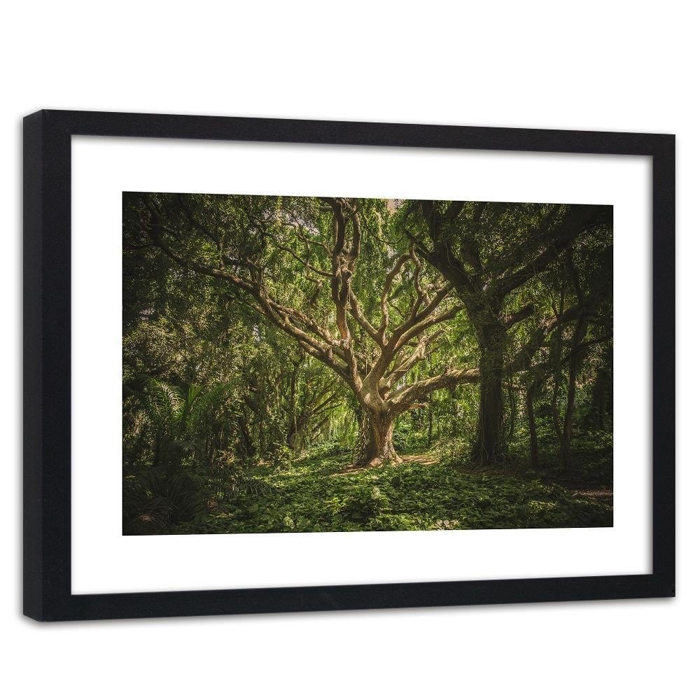 Glezna melnā rāmī - Large Tree In The Middle Of The Forest  Home Trends