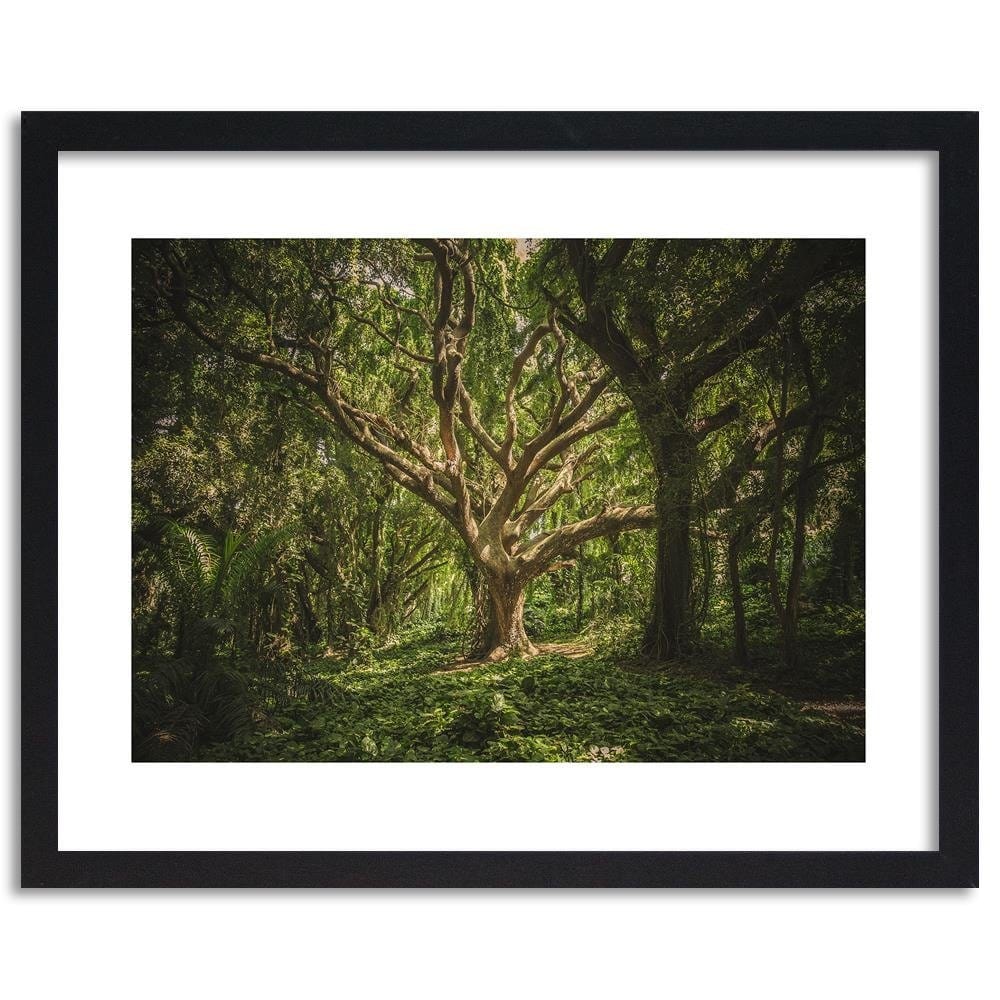 Glezna melnā rāmī - Large Tree In The Middle Of The Forest  Home Trends
