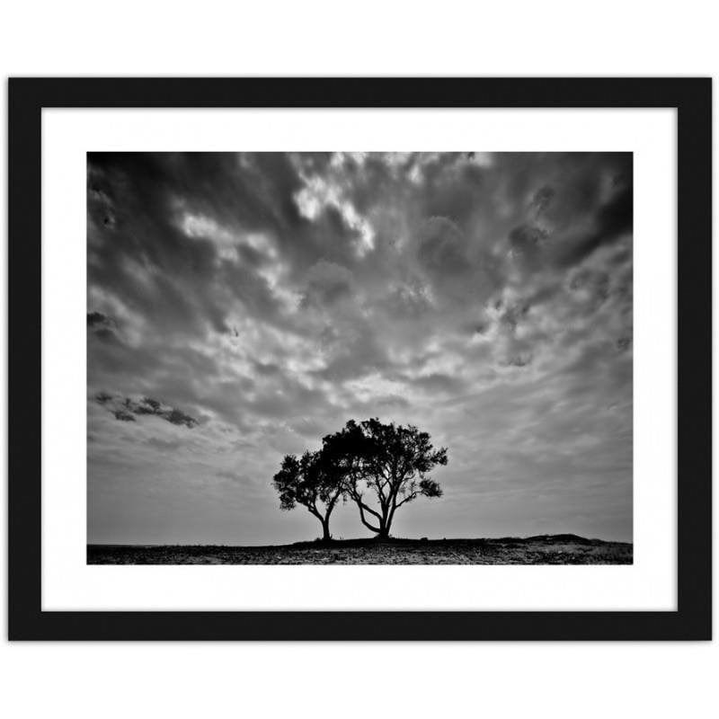 Glezna melnā rāmī - Lonely trees  Home Trends